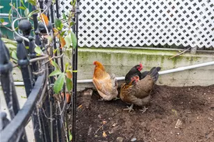 1178 W 18th St, San Pedro, CA 90731 - Photo 61