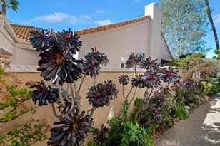 40495 Via Malagas, Murrieta, CA 92562 - Photo 33