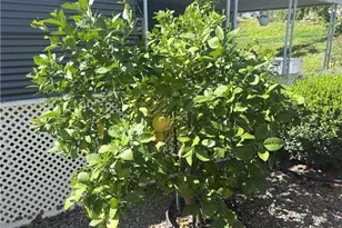 31130 S General Kearny, Temecula, CA 92591 - Photo 33