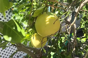 31130 S General Kearny, Temecula, CA 92591 - Photo 21