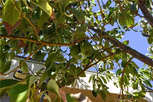 44607 Springwood, Hemet, CA 92544 - Photo 31