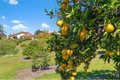 903 Crescent Bend, Fallbrook, CA 92028 - Photo 39