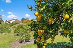 903 Crescent Bend, Fallbrook, CA 92028 - Photo 39