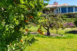 903 Crescent Bend, Fallbrook, CA 92028 - Photo 35