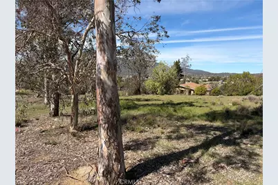 39175 Boulder Drive, Anza, CA 92539 - Photo 19