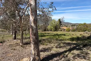 39175 Boulder Dr, Anza, CA 92539 - Photo 19