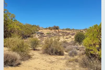 0 Terwilliger Road, Anza, CA 92539 - Photo 9