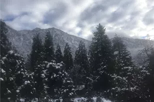 9112 Torrey Pines Rd, Forest Falls, CA 92339 - Photo 27