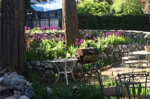 9112 Torrey Pines Rd, Forest Falls, CA 92339 - Photo 5