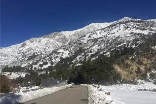 9112 Torrey Pines Rd, Forest Falls, CA 92339 - Photo 29