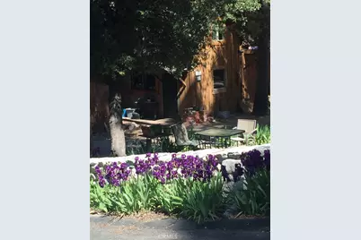 9112 Torrey Pines Road, Forest Falls, CA 92339 - Photo 23