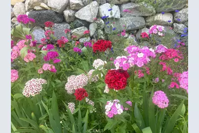 9112 Torrey Pines Road, Forest Falls, CA 92339 - Photo 7