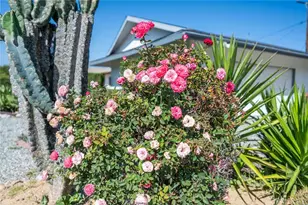 40480 Melrose Ave, Hemet, CA 92545 - Photo 9