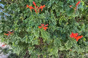 27101 Comwell, Menifee, CA 92586 - Photo 43