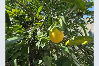 27101 Comwell, Menifee, CA 92586 - Photo 35