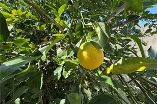 27101 Comwell, Menifee, CA 92586 - Photo 35