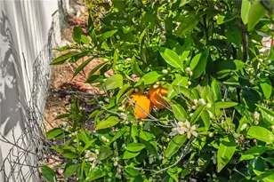 32924 Charmes Ct, Temecula, CA 92592 - Photo 43