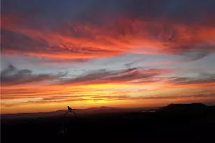 38525 Via De Oro, Temecula, CA 92592 - Photo 67