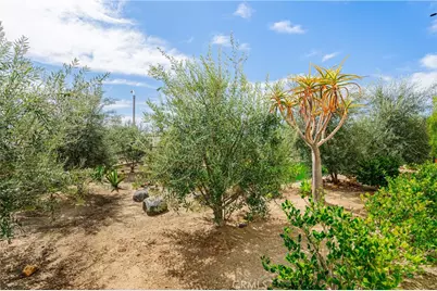 35103 Vintage Cove, Fallbrook, CA 92028 - Photo 57