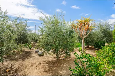 35103 Vintage Cove, Fallbrook, CA 92028 - Photo 57