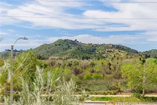 35103 Vintage Cv, Fallbrook, CA 92028 - Photo 59