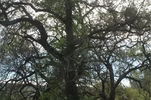 0 Tenaja Rd, Murrieta, CA 92562 - Photo 11