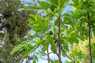 29268 Meandering, Menifee, CA 92584 - Photo 39