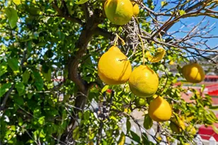 1547 Folkestone St, Spring Valley, CA 91977 - Photo 31