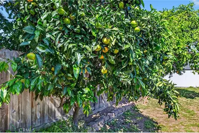 138 Terrace Ln, San Marcos, CA 92069 - Photo 29