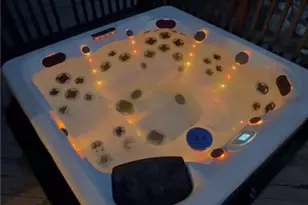 2030 Liliano, Sierra Madre, CA 91024 - Photo 17