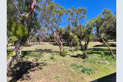 38295 Indian Road, Anza, CA 92539 - Photo 3