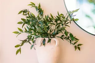 27794 Deya, Mission Viejo, CA 92692 - Photo 21