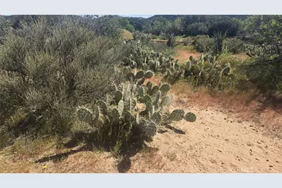 0 Covered Wagon Trail, Anza, CA 92539 - Photo 11