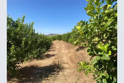 39 Carancho Road, Temecula, CA 92590 - Photo 9