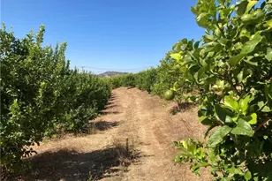 39 Carancho Rd, Temecula, CA 92590 - Photo 9