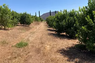 39 Carancho Rd, Temecula, CA 92590 - Photo 7