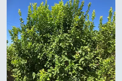 39 Carancho Road, Temecula, CA 92590 - Photo 5