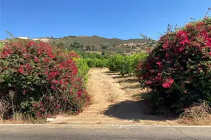 39 Carancho Rd, Temecula, CA 92590 - Photo 3