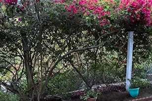 392 San Dimas, Oceanside, CA 92057 - Photo 45