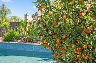 38232 Placer Creek St, Murrieta, CA 92562 - Photo 51