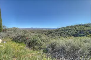 51201 Deer Mountain, Anza, CA 92539 - Photo 43