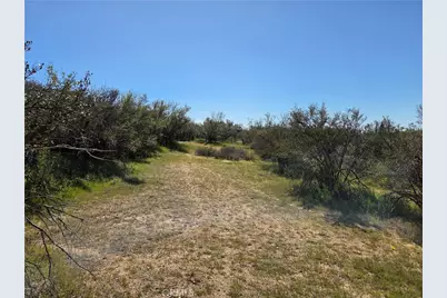 0 Pony Trail, Anza, CA 92539 - Photo 9