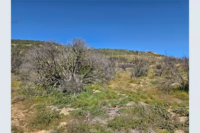 0 Howard, Anza, CA 92539 - Photo 5