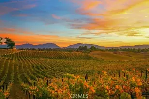 30354 Falcon Point Ct, Murrieta, CA 92563 - Photo 43