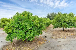 24800 Cornstalk Rd, Wildomar, CA 92595 - Photo 19