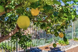 721 Highland Park, Fallbrook, CA 92028 - Photo 29