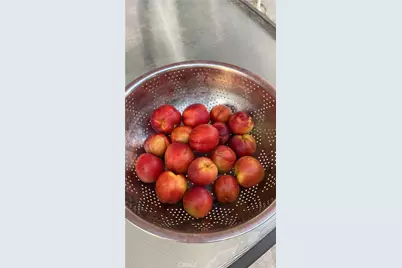 1948 Medoc, San Jacinto, CA 92583 - Photo 35