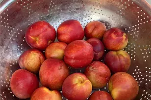 1948 Medoc, San Jacinto, CA 92583 - Photo 35