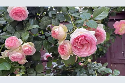 1948 Medoc, San Jacinto, CA 92583 - Photo 31