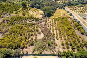 14 Carancho Rd, Temecula, CA 92590 - Photo 5